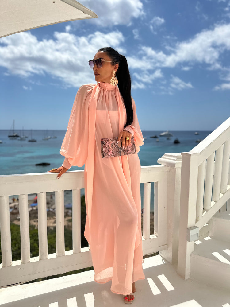 Marlene  Soft Pink Sheer Maxi Dress