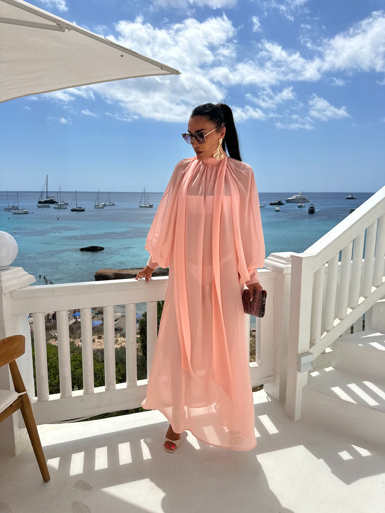 Marlene  Soft Pink Sheer Maxi Dress