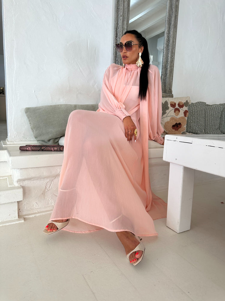 Marlene  Soft Pink Sheer Maxi Dress