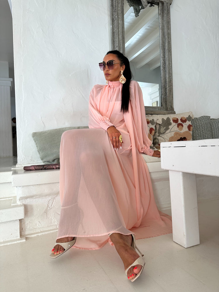 Marlene  Soft Pink Sheer Maxi Dress